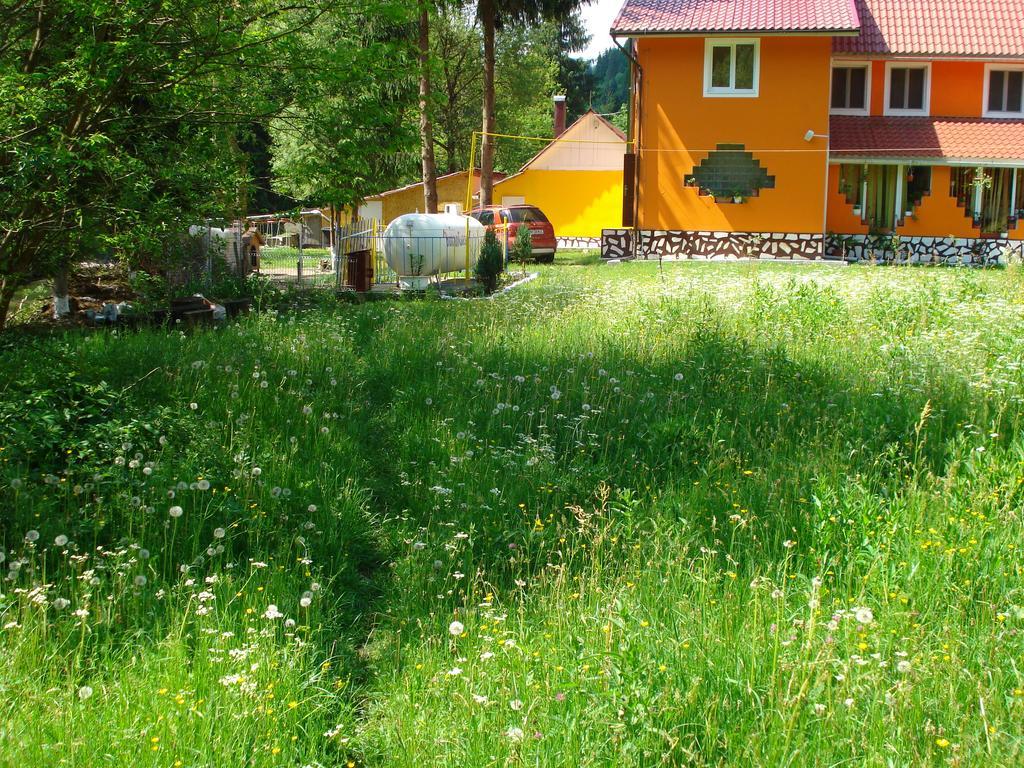 Pensiunea Marydor Hotel Gîrda de Sus Eksteriør billede