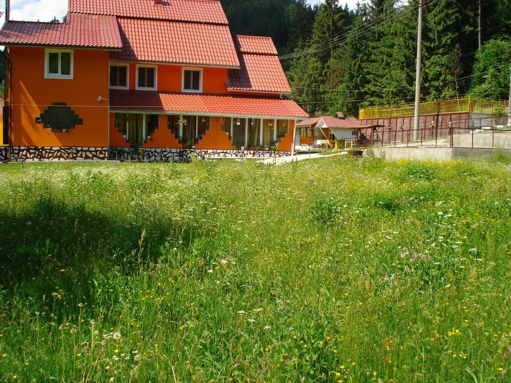 Pensiunea Marydor Hotel Gîrda de Sus Eksteriør billede